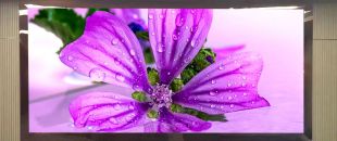 連鎖火鍋店老板哭訴：門頭LED廣告機(jī)讓我多賺了110萬，但千萬別學(xué)我踩這3個坑！”